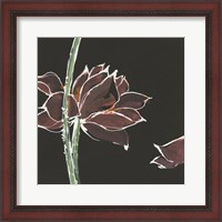 Framed Lotus on Black V