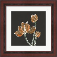 Framed Lotus on Black IV