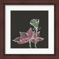 Framed 'Lotus on Black III' border=