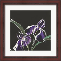 Framed Iris on Black I