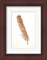 Framed Gold Feathers II