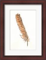 Framed Gold Feathers II