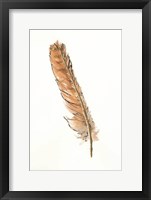 Gold Feathers II Framed Print