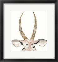 Gilded Antelope Framed Print