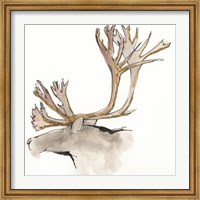 Framed Gilded Caribou