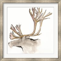Framed Gilded Caribou