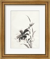 Framed Sumi Daylily IV