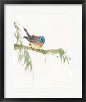 Framed Finch v2