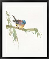 Framed Finch v2