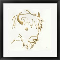 Gilded Buffalo Framed Print