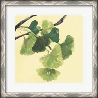 Framed Gingko Leaves I Dark