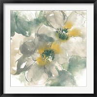 Framed Silver Quince I on White