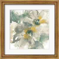 Framed Silver Quince I on White