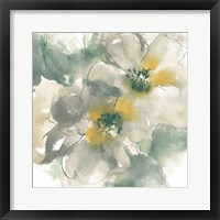 Silver Quince I on White Framed Print