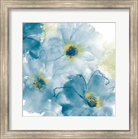 Framed Seashell Cosmos II Blue and Yellow