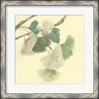 Framed Gingko Leaves I