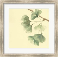 Framed Gingko Leaves III