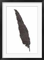 Framed Black Feather VI