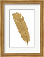 Framed Pure Gold Feather V