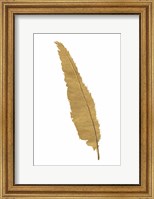 Framed Pure Gold Feather VI