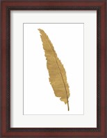 Framed Pure Gold Feather VI