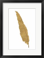 Pure Gold Feather VI Framed Print