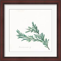 Framed Rosemary II
