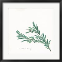 Framed Rosemary II