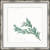 Framed 'Rosemary II' border=