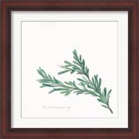Framed 'Rosemary II' border=