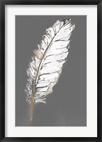 Framed Gold Feathers VII on Grey