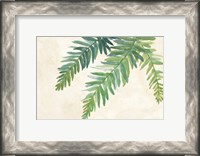 Framed Ferns Square I on Cream