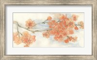 Framed Peach Blossom III