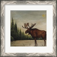 Framed North Woods Moose II