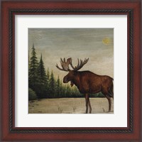 Framed North Woods Moose II