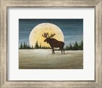 Framed North Woods Moose Crop