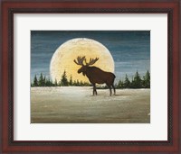 Framed North Woods Moose Crop