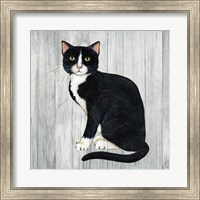 Framed Country Kitty I on Wood