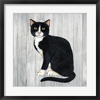 Framed Country Kitty I on Wood