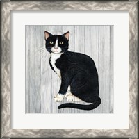 Framed 'Country Kitty I on Wood' border=
