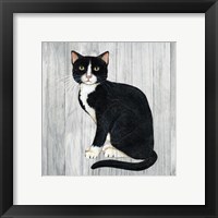 Framed 'Country Kitty I on Wood' border=