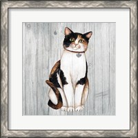 Framed 'Country Kitty III on Wood' border=