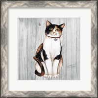 Framed 'Country Kitty III on Wood' border=
