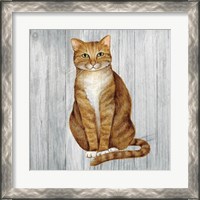Framed 'Country Kitty II on Wood' border=