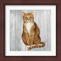 Framed 'Country Kitty II on Wood' border=