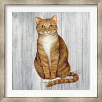 Framed Country Kitty II on Wood