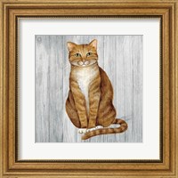 Framed Country Kitty II on Wood