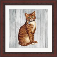 Framed 'Country Kitty IV on Wood' border=