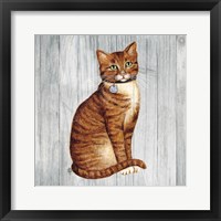Framed 'Country Kitty IV on Wood' border=