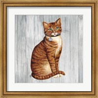 Framed Country Kitty IV on Wood